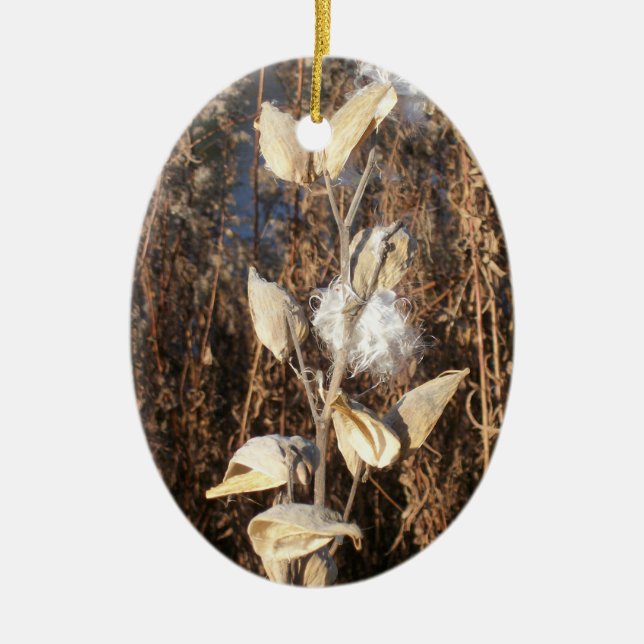 Milkweed-Ornament Keramik Ornament (Vorne)