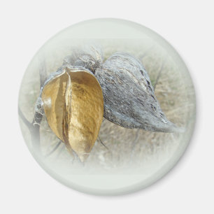 Milkweed Pods Magnet