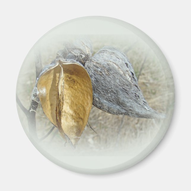 Milkweed Pods Magnet (Vorne)