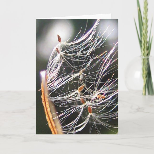 Milkweed Poof Karneval Ride Playful Nature Karte (Vorderseite)