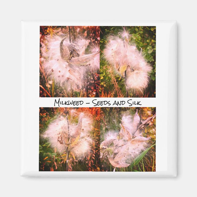 Milkweed | Sangria Magnet (Vorne)