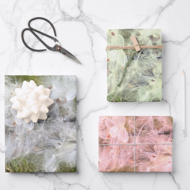 Milkweed | Schmetterling | Geschenkpapier Set (Vorderseite)