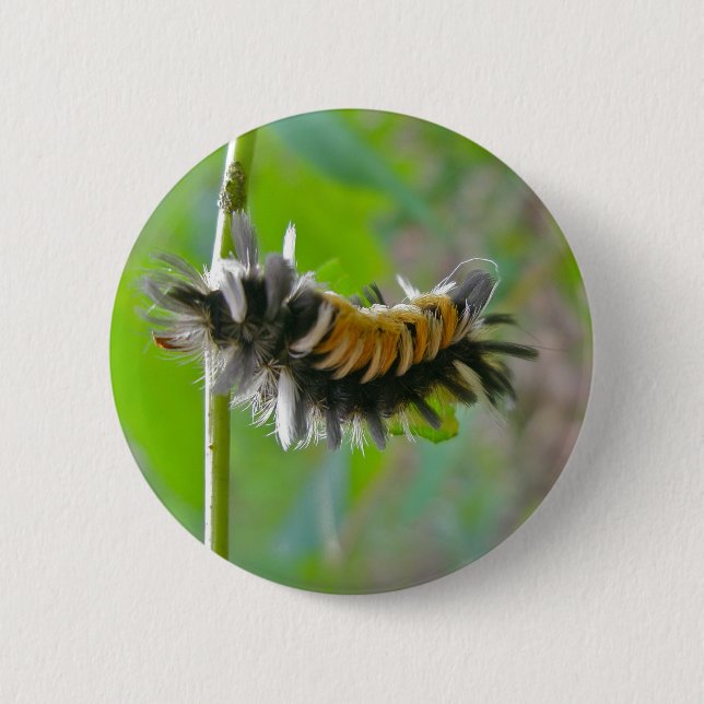 Milkweed Tussock Moth Caterpillar Items Button (Vorderseite)