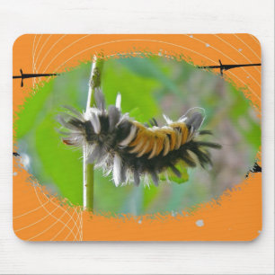 Milkweed Tussock Moth Raupe Orange Items Mousepad