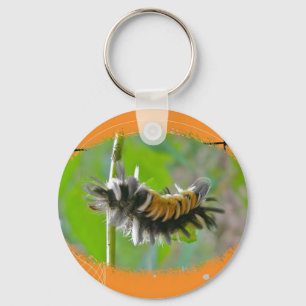 Milkweed Tussock Moth Raupe Orange Items Schlüsselanhänger