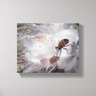 Milkweed-Wanze auf Milkweed unten Leinwanddruck