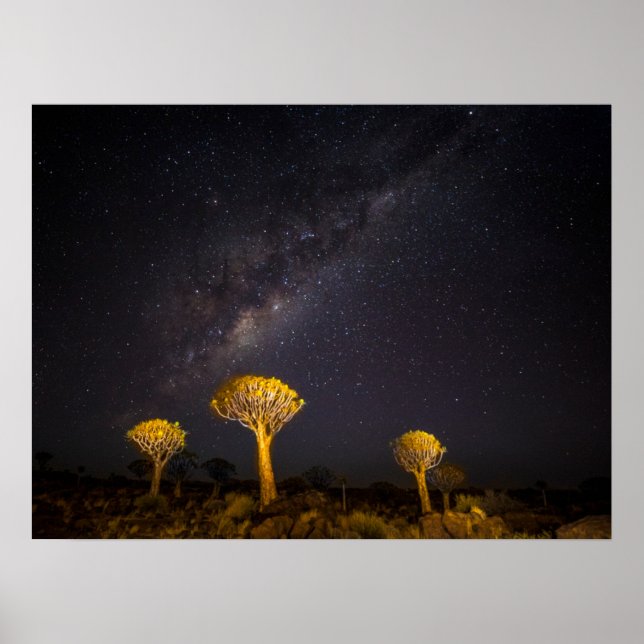 Milky Way Quiver Tree Keetmansho| Namibia Poster (Vorne)