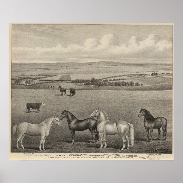 Mill Brae Ranch, Kansas Poster (Vorne)