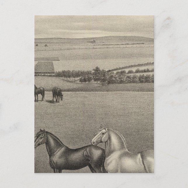 Mill Brae Ranch, Kansas Postkarte (Vorderseite)