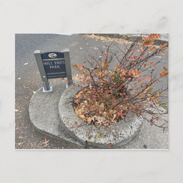 Mill Ends Park Postkarte (Vorderseite)