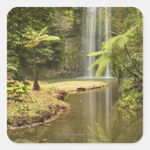 Millaa Millaa Falls, Atherton Tableland Quadratischer Aufkleber