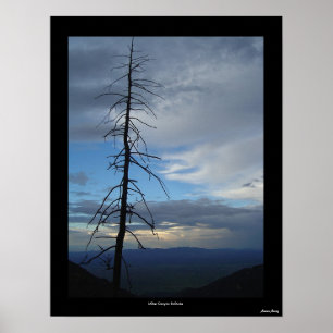 Miller-Schlucht-Einsamkeit Poster