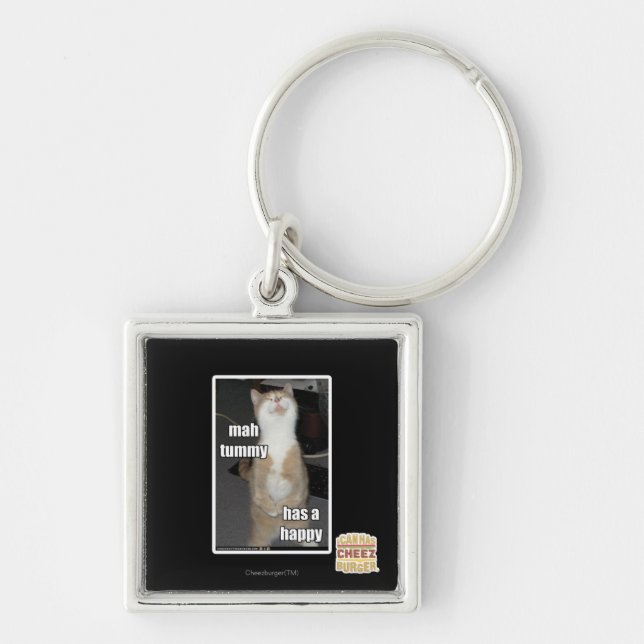 Milliamperestunden-Bauch hat ein glückliches Schlüsselanhänger (Vorne)