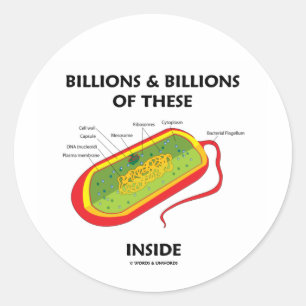 Milliarden u. Milliarden von diesen (Prokaryote) Runder Aufkleber