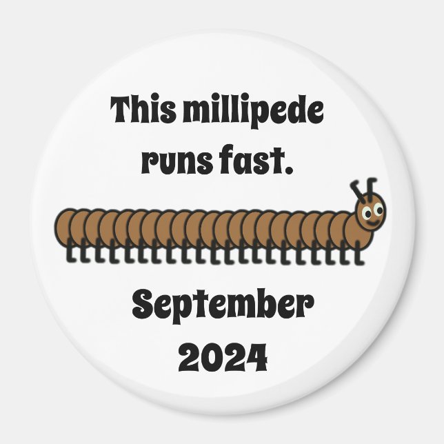 Millipede, braun magnet (Vorne)