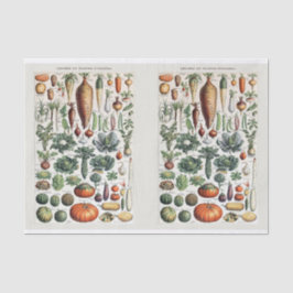 Millot Illustrationen, Gartengemüse, Decoupage Seidenpapier
