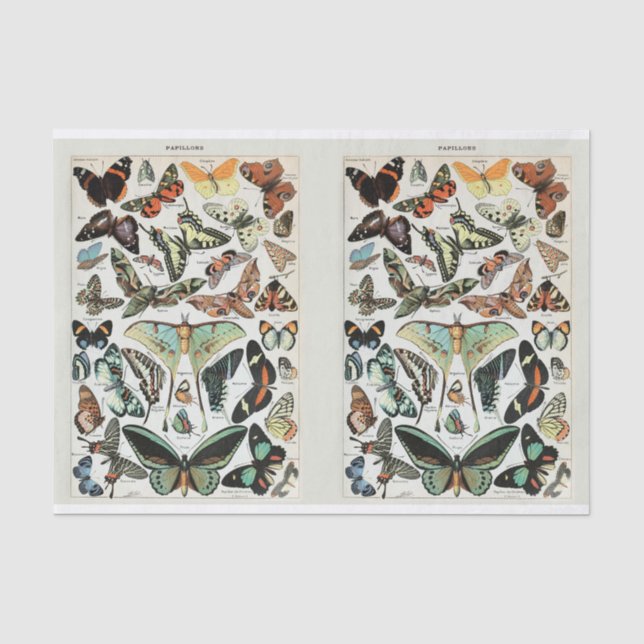 Millot, Schmetterlinge und Motten, Decoupage Seidenpapier (Vorderseite)