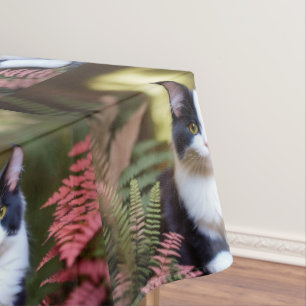 Milly Le Chat De Ragdoll, Nappe