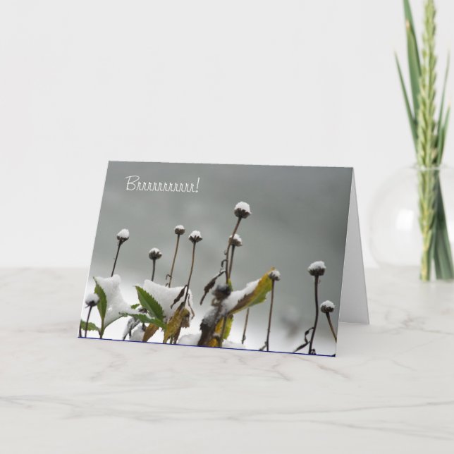 Milou refoule la carte de Noël (Devant)