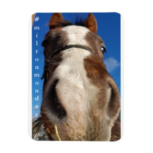 Milton Montag Magnet