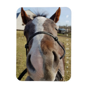 Milton-Montag-Magnet Magnet