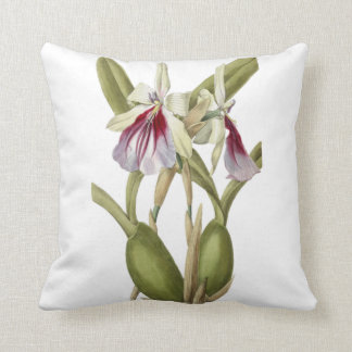 Miltonia Spectabilis orchid botanisches Wurfkissen Kissen