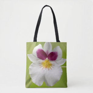 Miltoniopsis Roezlii (Pansy-Orchideen) Tasche
