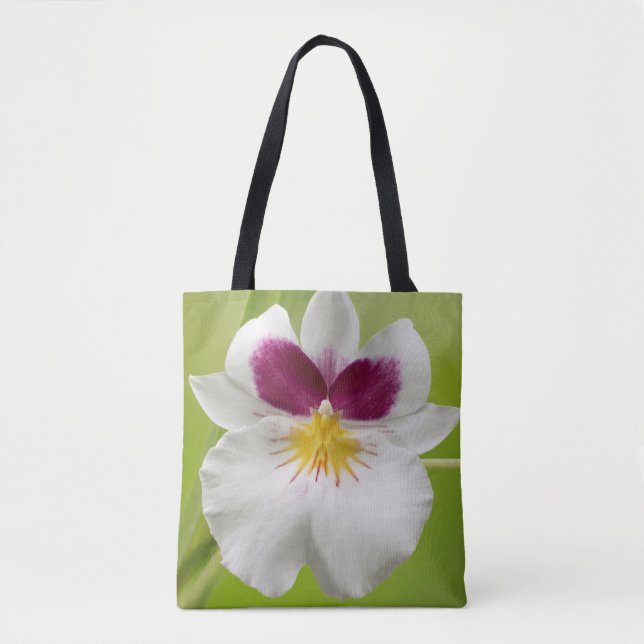Miltoniopsis Roezlii (Pansy Orchids) Tasche (Vorderseite)