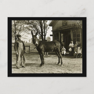 Milwaukee Maultier und Farmer Vintage Postkarte