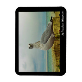 Milwaukee, Wisconsin Magnet