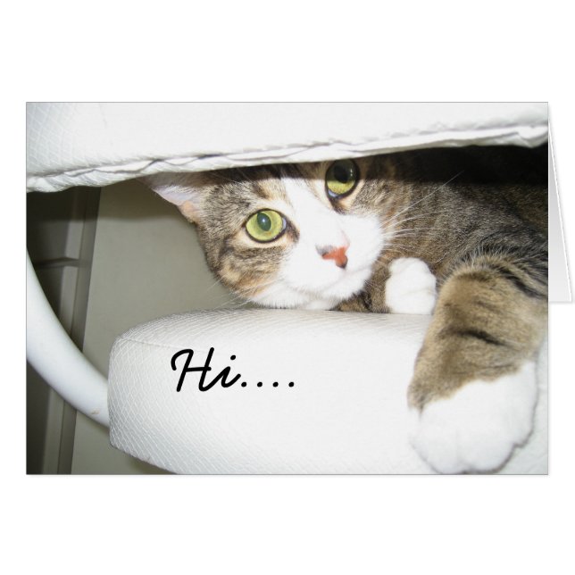 Mimi (Vorderseite (Horizontal))