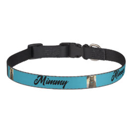 Mimmy Haustierhalsband