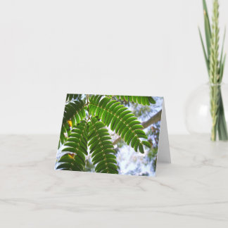 Mimosa-Blätter Karte