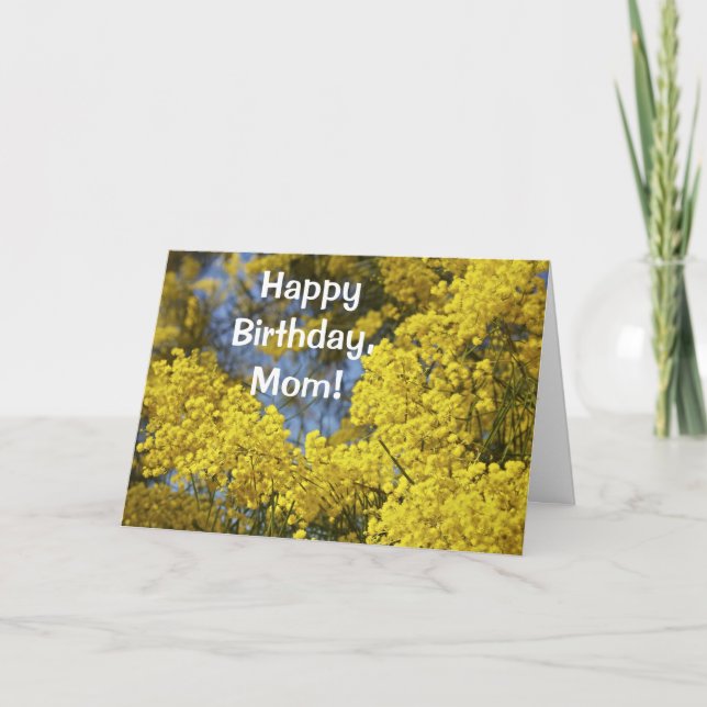 Mimosa En Fleur Bonne Carte Anniversaire (Devant)