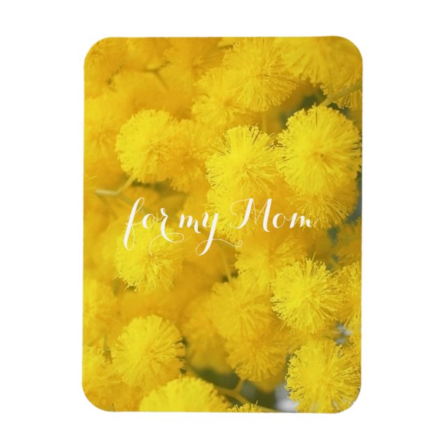 Mimosa. Gelbe Blumen. Magnet (Vertikal)