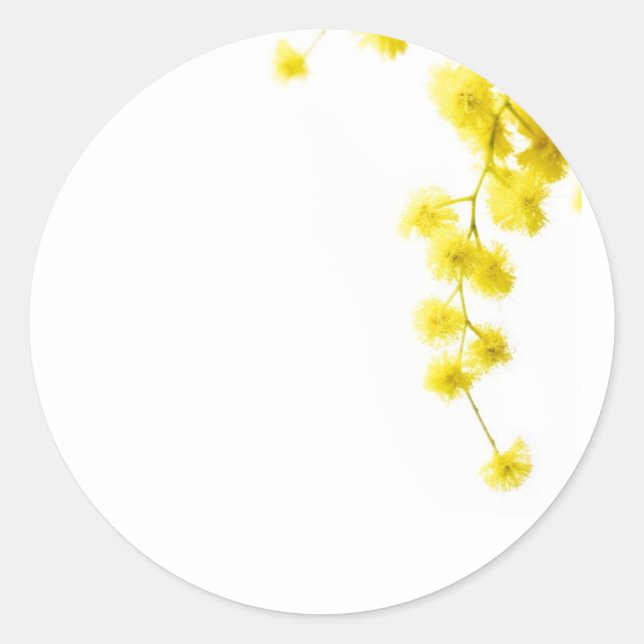 Mimosa Runder Aufkleber (Vorderseite)