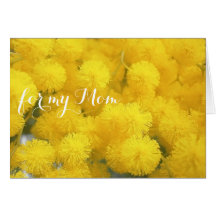 Mimose für Mama