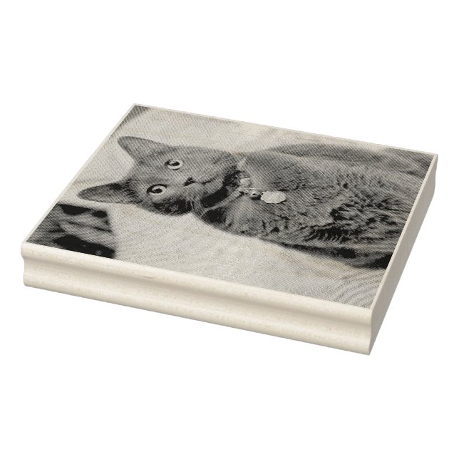 Mims Gummistempel (Stempel)