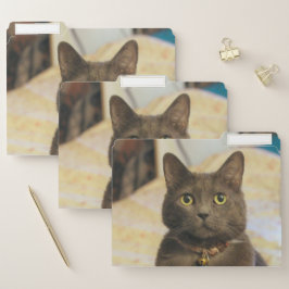 Mims Papiermappe