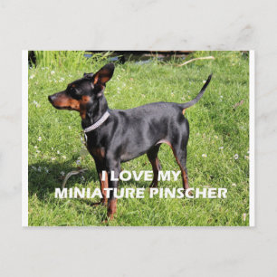 min Button Schwarz und Rost vollständige Liebe w p Postkarte