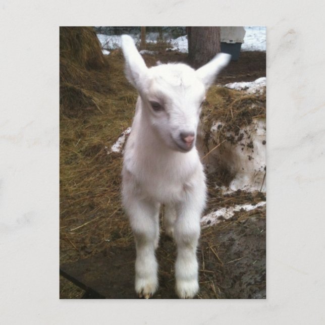 Min. Doeling Postkarte (Vorderseite)