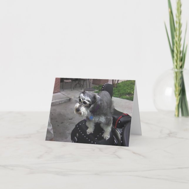 Minature Schnauzer BIKER Karte (Vorderseite)