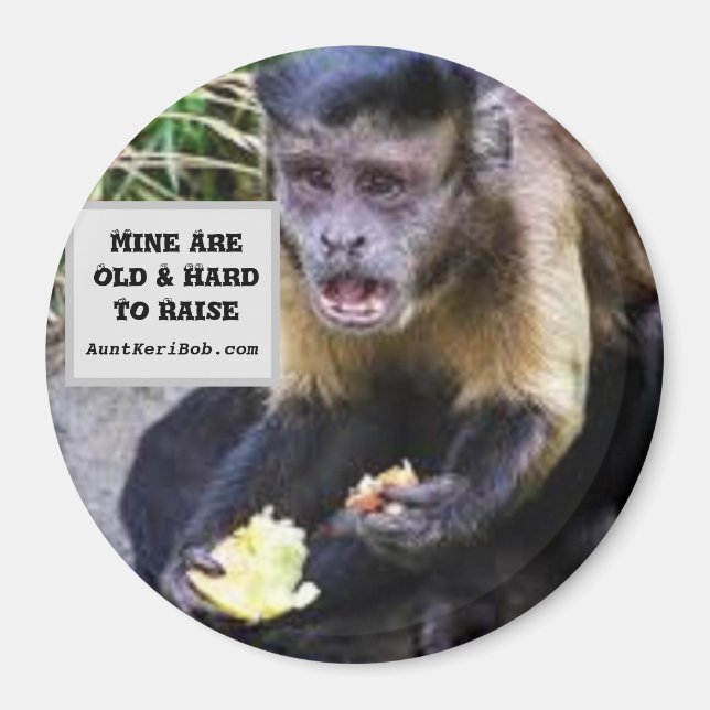 Mine are hard to raise magnet (Vorne)