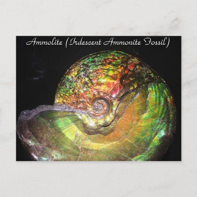 Mineralien & Gems # 127 Postkarte (Vorderseite)