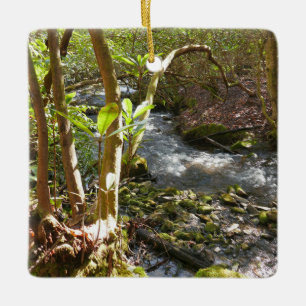 Mingus Creek in den Smoky Mountains Keramikornament