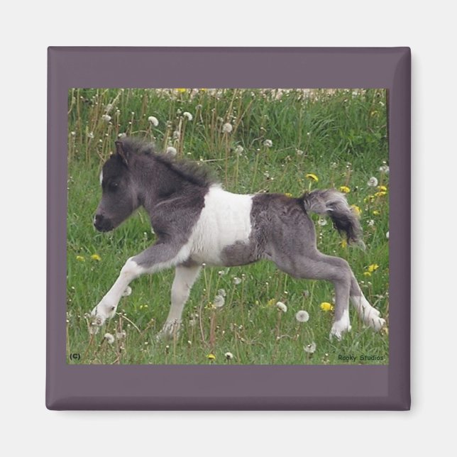 Mini aimant à cheval (Devant)