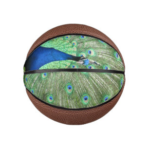 Mini Ballon De Basket Basketball - Peacock avec Tailfeathers