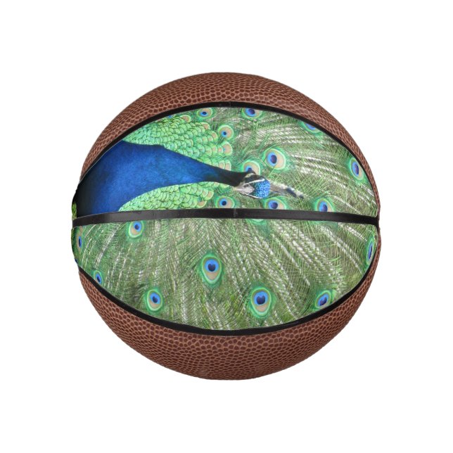 Mini Ballon De Basket Basketball - Peacock avec Tailfeathers (Devant)