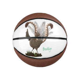 Mini Ballon De Basket Illustration de superbe et superbe lyrebird