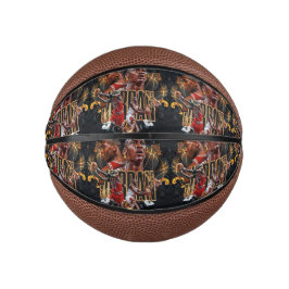 Mini Basketball Jordan,